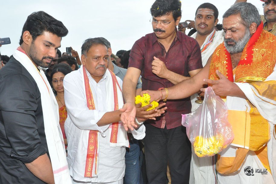 Jaya-Janaki-Nayaka-Movie-Vijayotsava-Veduka-At-Hamsala-Deevi